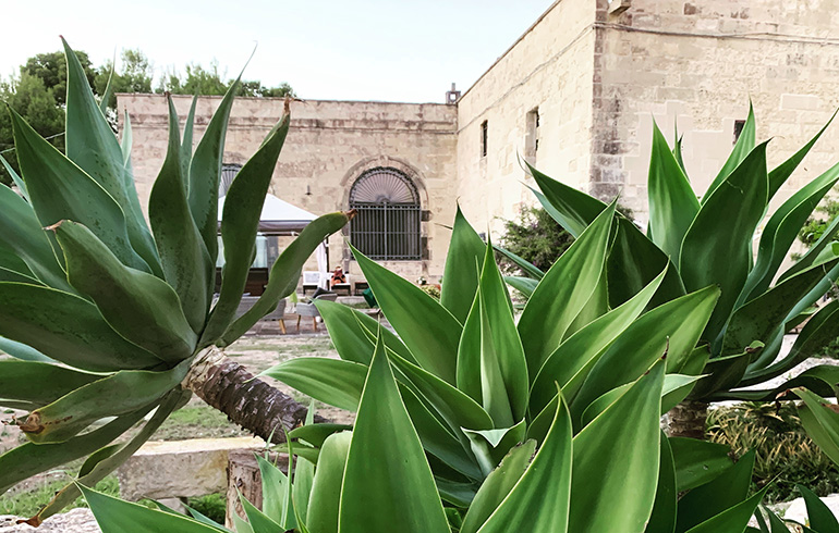 masseria specchiulla casa di martino esterno