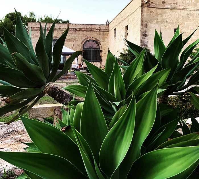 masseria specchiulla otranto casa di martino