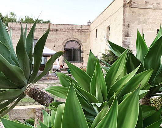 Esterno Casa di Martino - La Masseria Specchiulla